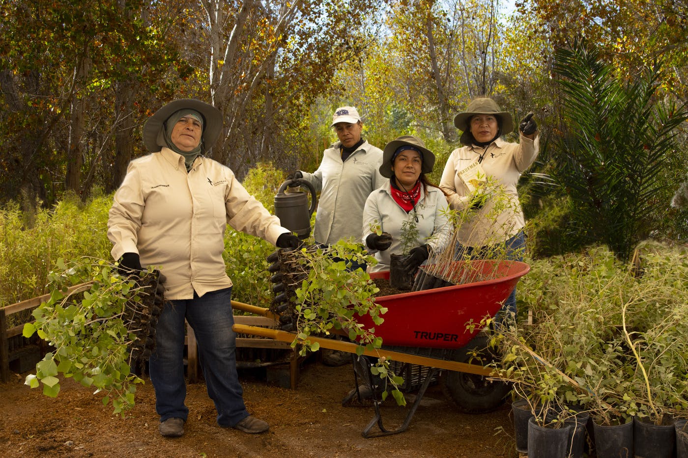 Restoring the Colorado River Delta through Women-led Restoration